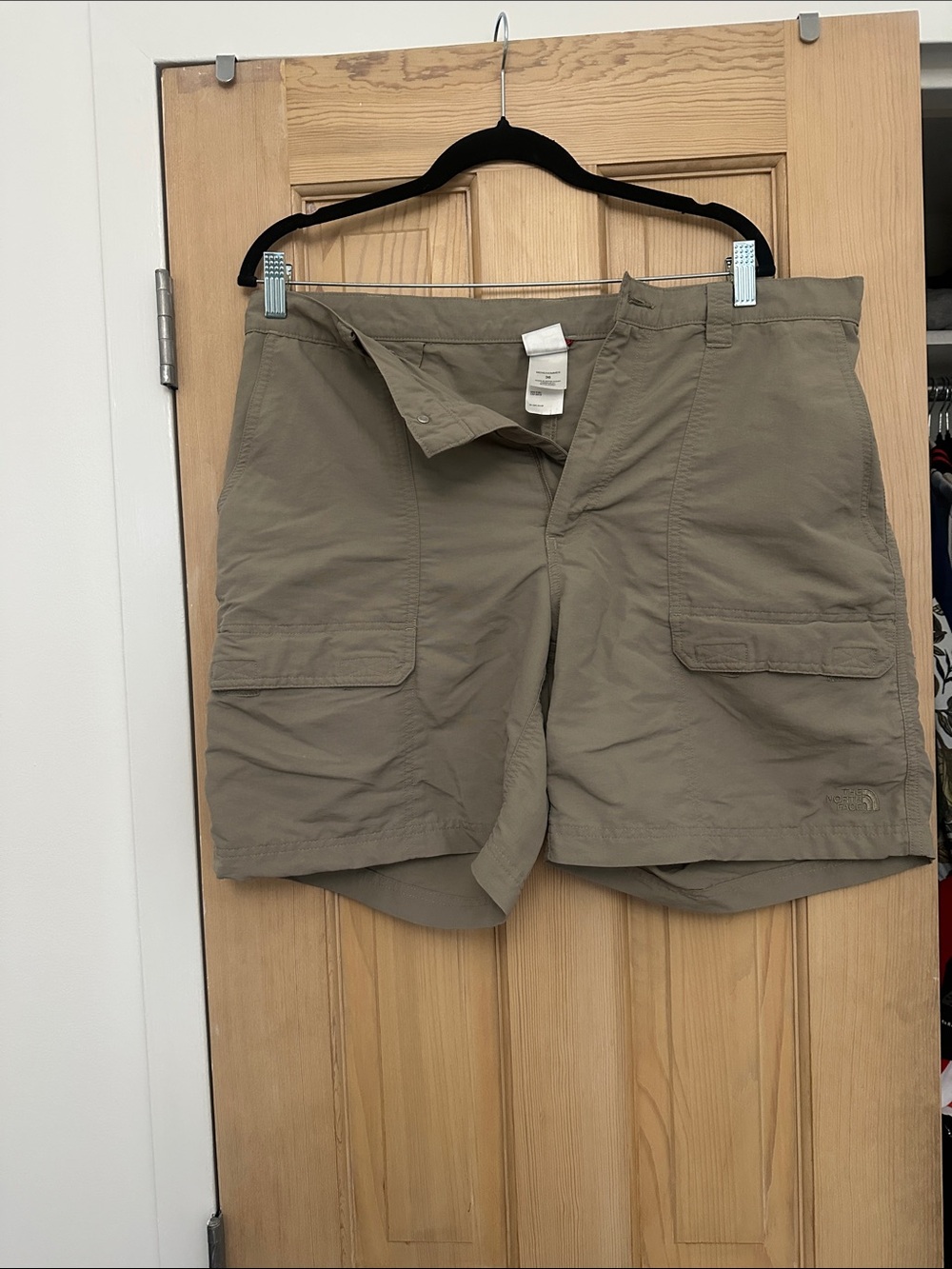 The North Face Men's Cargo Shorts in Olive